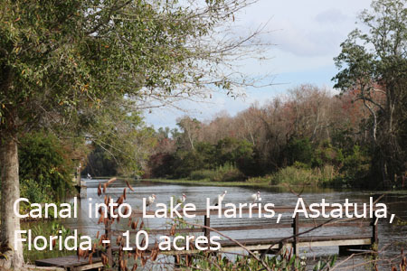 !0-Acrs-Astatula-Lake-Harris-FL