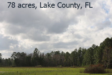 Lake-co-FL-78-ac