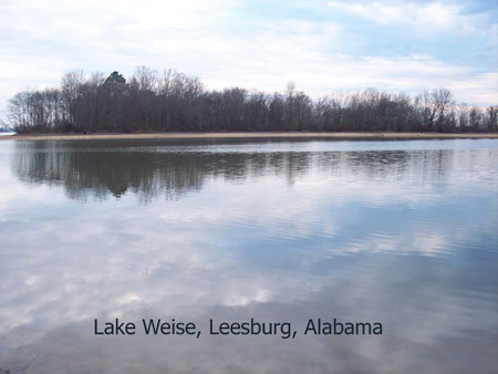 weise-Lake-AL
