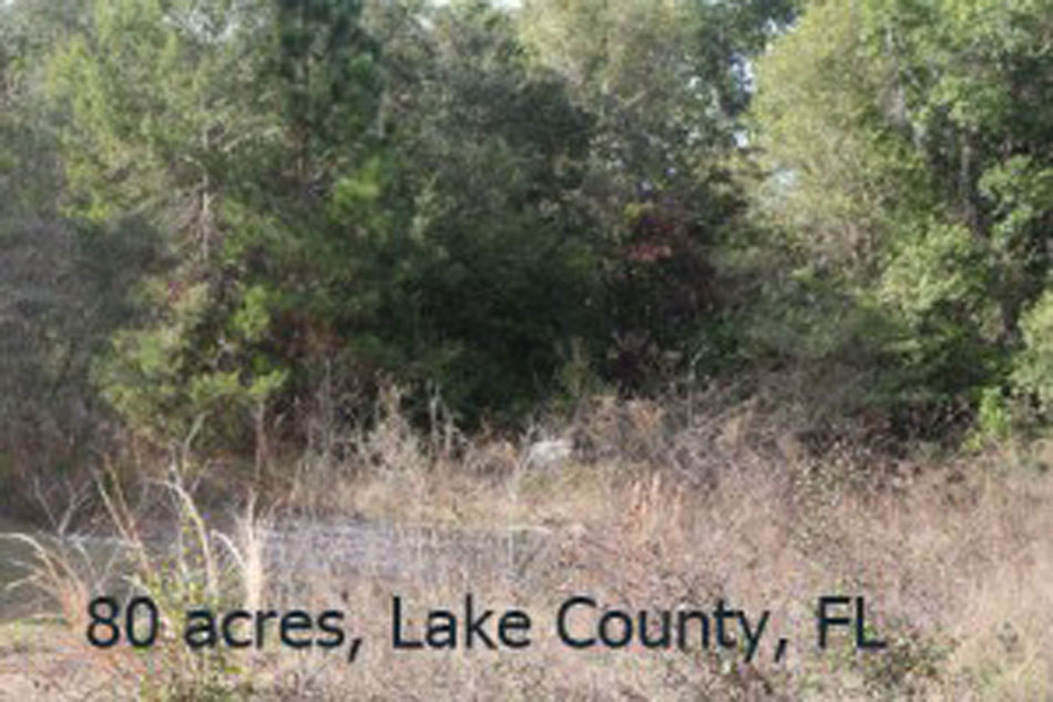 FULL-Lake-Co-FL-80-ac-950X633