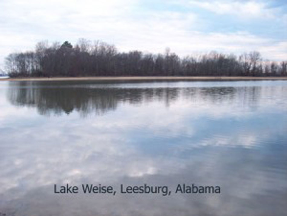 FULL–Weise-Lake-AL-950