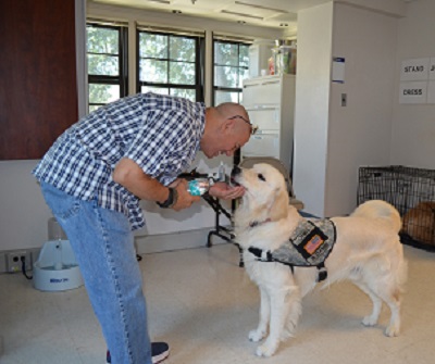 Warriors receive therapy through service dog training program