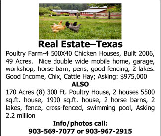 Real-Estate-L