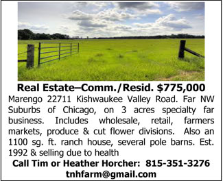 Real-Estate-Time-&-Heathes-Horcher