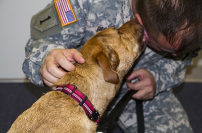 Embedded Behavioral Health Clinic welcomes new therapy dog