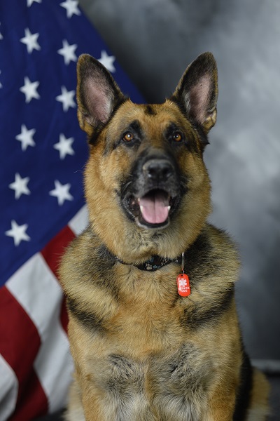 A therapy dog touches the hearts of Airmen at the 163rd Attack Wing