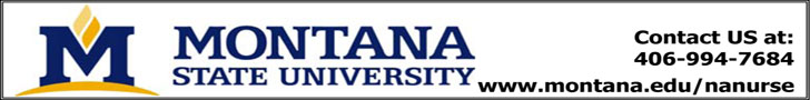 MontanaStUniv-Banner