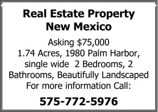 Real-Estate-NM-S