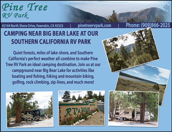 pine-tree-rv-park