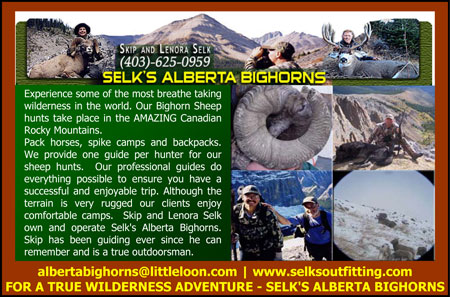 Selks-Alberta-Bighorns