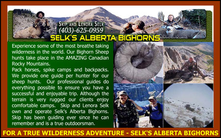 Selks-Alberta-Bighorns