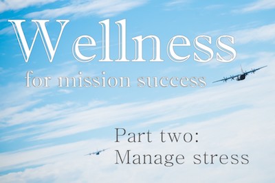 Wellness for mission success