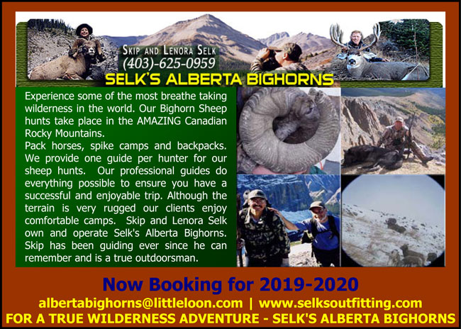 Selks-Alberta-Bighorns-Book-2019-20-650-pix