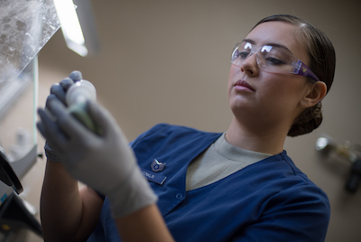 Dental Lab: behind the scenes artists