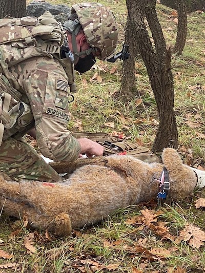 566th MCAS Soldiers conduct K9 medical training