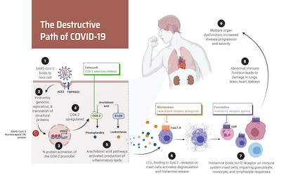 On the Mend: The search for COVID-19 therapies has led to familiar places