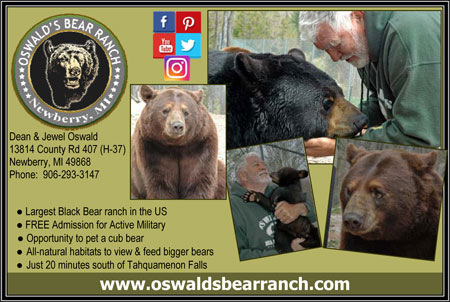 oswalds-bear-ranch