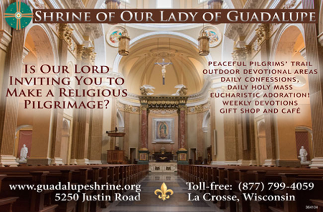 shrine-of-our-lady-of-guadalupe-color-quarterpg-12-2019