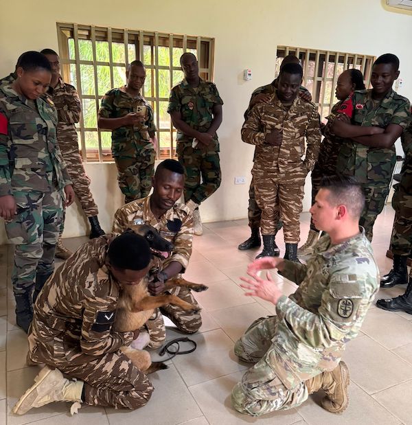 Veterinary Corps Soldiers support Ghanian Military Counterparts