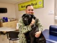 Therapy dog helps heal minds and hearts at Naval Hospital Twentynine Palms