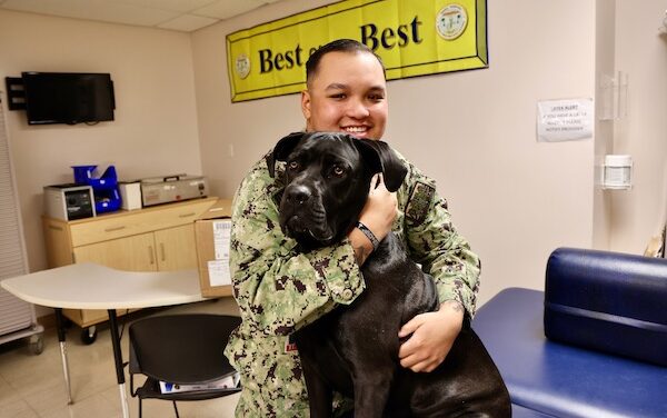 Therapy dog helps heal minds and hearts at Naval Hospital Twentynine Palms