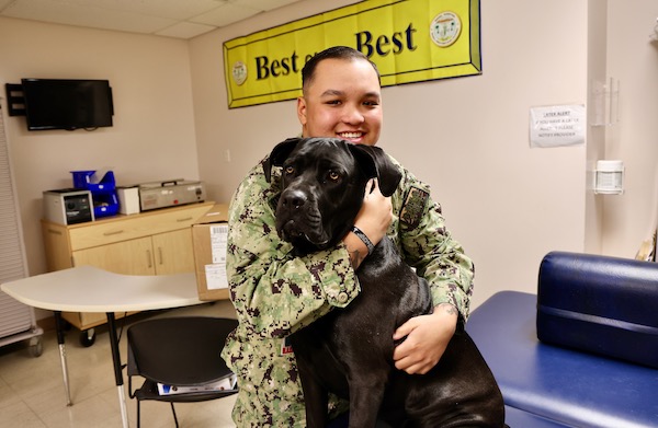 Therapy dog helps heal minds and hearts at Naval Hospital Twentynine Palms