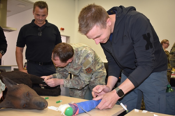 Canine Tactical Combat Casualty Care Training Enhances Military Working Dog Skills and Host Nation Partnerships