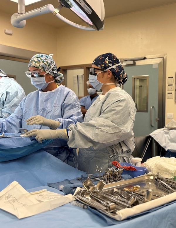 Unsung Heroes of the Operating Room: Surgical Technologists